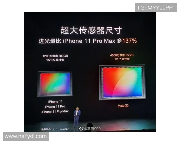 国王评分出炉:是高光还是低迷? 国王评分出炉:是高光还是低迷?