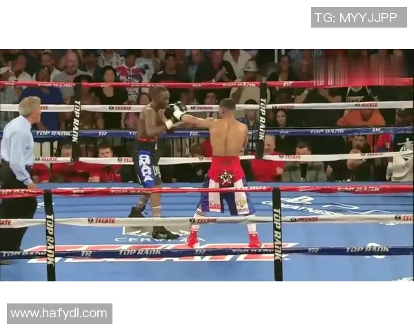 NBA经典比赛回顾：总决赛精彩瞬间