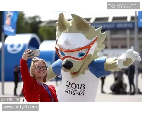 球迷假票事件调查