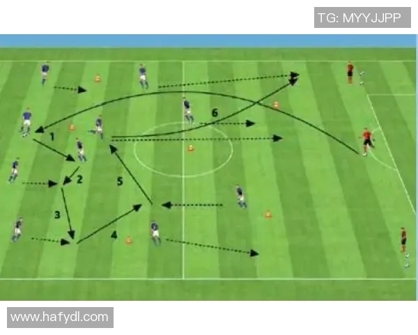 控球率与射门次数对足球比赛结果的影响与关联分析