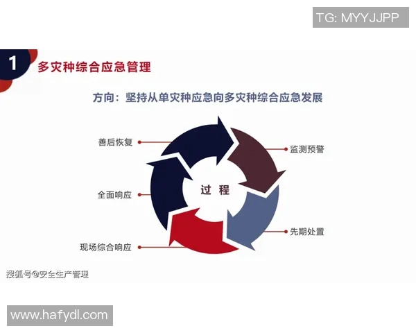 欧洲杯赛事安全保障措施及应急预案的优化与实施方案探讨